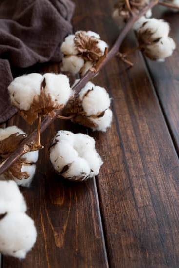 Dormire Secondo Feng Shui 1 Posiziona il letto secondo i principi del Feng Shui per migliorare il sonno