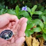 Disposizione Casa Feng Shui PDF Guida pratica per l'armonia domestica secondo i principi del Feng Shui, disponibile in formato PDF