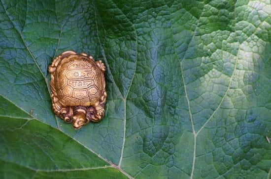Direzioni Per Dormire Feng Shui 1 Segui le direzioni per dormire feng shui per una notte ristoratrice