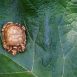 - Scopri i segreti del benessere con il nostro corso Feng Shui 2016