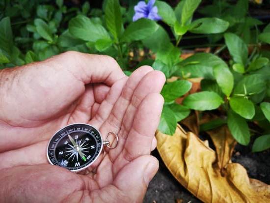 Decorazioni Feng Shui 1 Creare l'armonia con le decorazioni Feng Shui: minimalismo, simmetria e natura