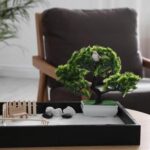 Centro Olistico Feng Shui Collepasso Le Energia positiva a Collepasso con il centro olistico Feng Shui. Scopri il benessere con il Centro Olistico Feng Shui a Collepasso