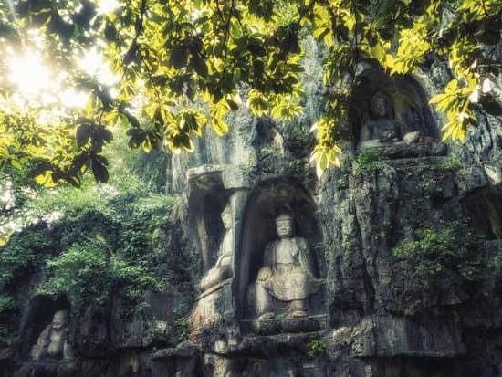 Corso Feng Shui Udine 1 Scopri il miglior corso di Feng Shui a Udine per trasformare la tua casa