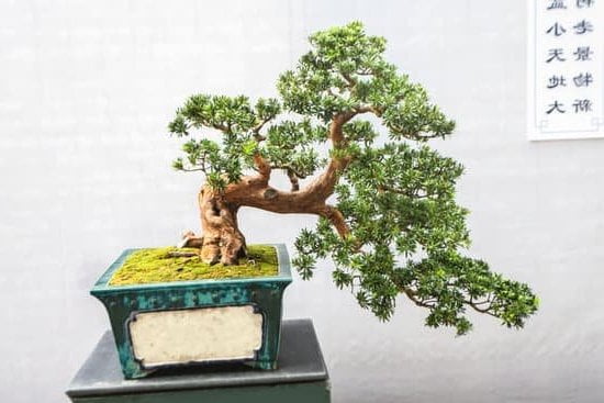 Corso Di Feng Shui Roma 1 CORSO DI FENG SHUI ROMA - Impara i segreti del Feng Shui nella splendida città di Roma