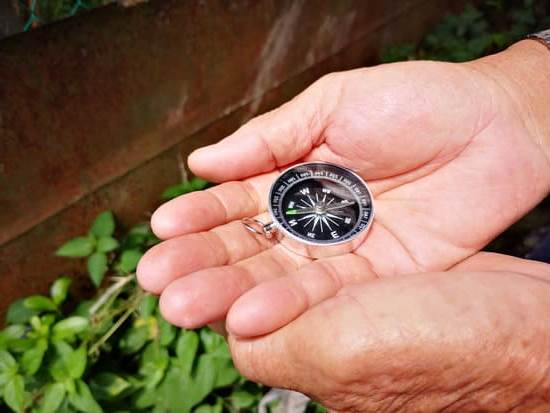 Creative Feng Shui Febbraio 2017 1 Armonia creativa: guide per il Febbraio 2017 con Creative Feng Shui