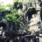 Acquista un'albero di feng shui a prezzi convenienti per migliorare l'energia della tua casa