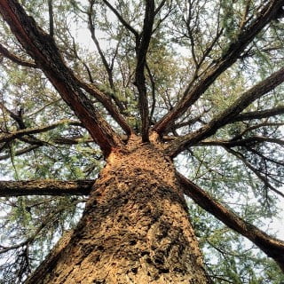 Colore Pareti Camera Da Letto Feng Shui 1 Scegli tonalità rilassanti per favorire il riposo e l'armonia. COLORE PARETI CAMERA DA LETTO FENG SHUI