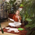 Disegno Fengh Shui Armonia e equilibrio nel disegno Feng Shui