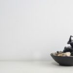 Centro Olistico Feng Shui SRL Matino Le Scopri il benessere nel nuovo CENTRO OLISTICO FENG SHUI SRL MATINO LE