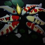 Cristalli Nel Feng Shui Crea armonia con cristalli nel Feng Shui