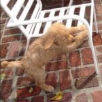 Feng Shui Angoli Da Evitare Scala Evita angoli spigolosi vicino alla scala per una buona energia secondo il feng shui