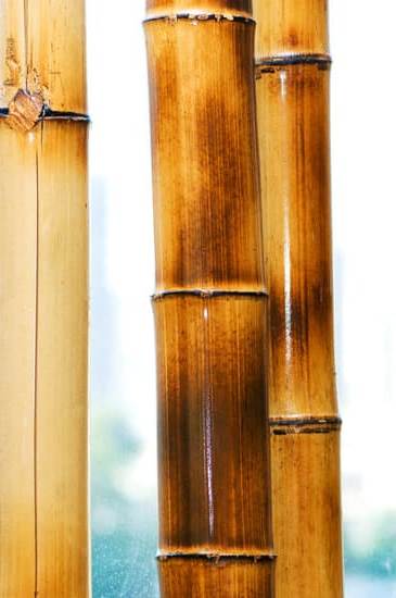 Corso Feng Shui Pomezia 1 Scopri il miglior corso Feng Shui a Pomezia per trasformare la tua casa e la tua vita