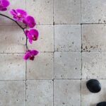 Canzone Feng Shui Carla Signoris Canzone Feng Shui di Carla Signoris: armonia e positività attraverso la musica