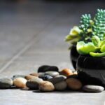 Corso Di Feng Shui PDF Scarica il nostro corso di Feng Shui in PDF per apprendere le tecniche più efficaci