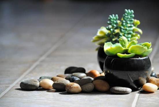 Corso Di Feng Shui PDF 1 Scarica il nostro corso di Feng Shui in PDF per apprendere le tecniche più efficaci