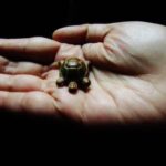 Equilibriamo la tua casa con una corretta CORRISPONDENZA CINQUE ELEMENTI FENG SHUI