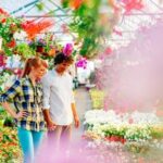 Feng Shui Abbigliamento Feng Shui nell'abbigliamento: equilibrio e armonia per il benessere