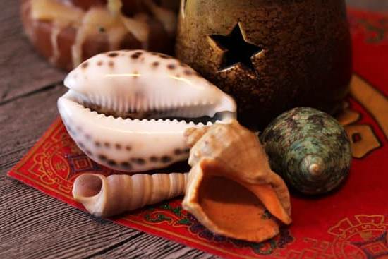 Corso Feng Shui Vicenza 1 Scopri il miglior corso di Feng Shui a Vicenza per trasformare la tua casa