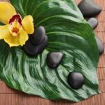 Compra Le Quattro Porte Del Feng Shui Scopri il potere del Feng Shui: compra le quattro porte per la tua armonia