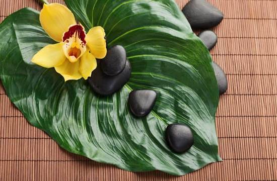 Compra Le Quattro Porte Del Feng Shui 1 Scopri il potere del Feng Shui: compra le quattro porte per la tua armonia