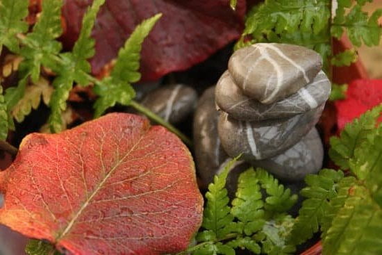 Scopri i migliori corsi Feng Shui su Imateria per trasformare la tua casa