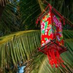 Corso Feng Shui Bologna Scopri il miglior corso feng shui a Bologna