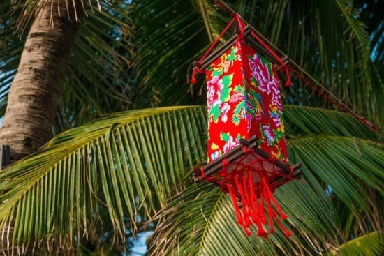 Corso Feng Shui Bologna 1 Scopri il miglior corso feng shui a Bologna