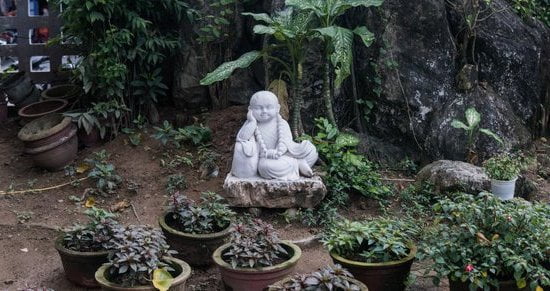 Come Rendere Il Feng Shui Un'Attività 1 come rendere il feng shui un'attività