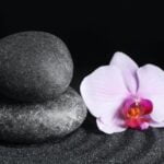 Calendario Cinese Feng Shui Scopri il Calendario Cinese Feng Shui per guidare le tue scelte ogni giorno