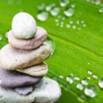 Come Fare Pezzo Di Giardino Feng Shui Creare un pezzo di giardino feng shui: segui i principi di equilibrio e armonia per un ambiente sereno