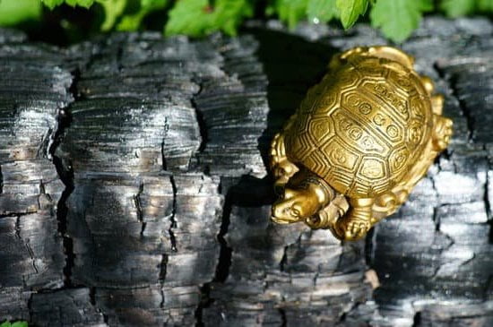 Consigli Del Feng Shui 1 Energia positiva: segui i consigli del Feng Shui