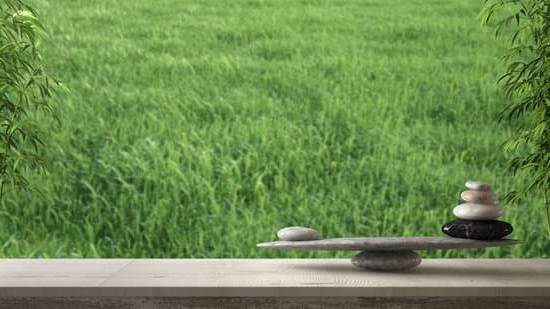 Erbe Aromatiche in Cucina Feng Shui 13 Crea equilibrio nella cucina con le erbe aromatiche secondo il Feng Shui: scopri i segreti della cucina armoniosa