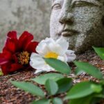 Corso Feng Shui Verona Scopri il miglior corso Feng Shui a Verona per trasformare la tua vita