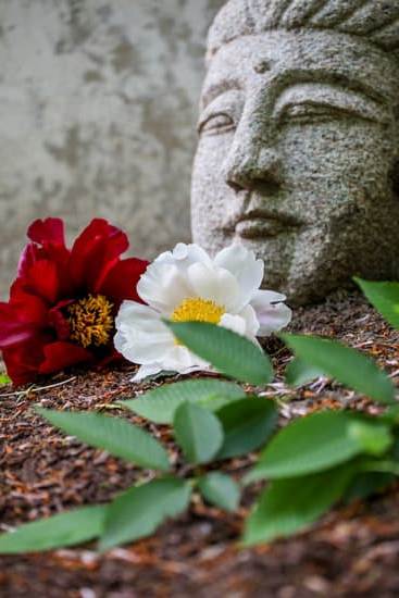 Corso Feng Shui Verona 1 Scopri il miglior corso Feng Shui a Verona per trasformare la tua vita