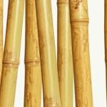 Feng Shui Bussola Prezzo Scopri il miglior prezzo per la tua bussola Feng Shui e trasforma la tua casa