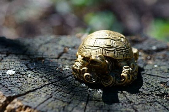 Feng Shui Corsi Gigi Capriolo 1 Migliora l'energia della tua casa con i corsi di Gigi Capriolo su Feng Shui