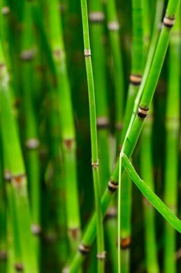 Feng Shui Colori Per Dare Energia Ad Un Ambiente 1 Utilizza colori vivaci e luminosi per stimolare l'energia secondo i principi del Feng Shui