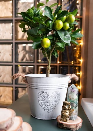 Feng Shui Colri Persone Acqua 1 Posiziona gli elementi colorati secondo i principi del Feng Shui per armonizzare l'energia delle persone e dell'acqua