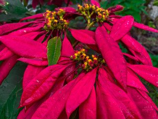 Feng Shui Canzoni 1 armonia musicale per una casa equilibrata