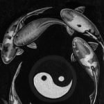 Feng Shui Camera Da Letto Bambini Scegli colori rilassanti per aumentare l'armonia nell'ambiente