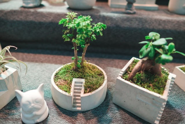 Feng Shui Bagno Puo Non Avere Finestra 1 Utilizza specchi per riflettere la luce e l'energia positiva nel tuo bagno Feng Shui senza finestra