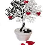 Feng Shui Cani Leoni Cinesi consigli pratici e benefici