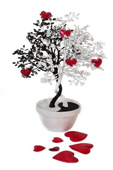 Feng Shui Cani Leoni Cinesi 1 consigli pratici e benefici