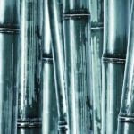 Feng Shui Area Dei Viaggi Migliora l'armonia dei tuoi viaggi con il Feng Shui nella tua area di partenza e arrivo