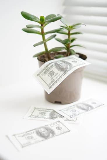 Feng Shui Dormire Con La Testa a Est 1 feng shui dormire con la testa a est