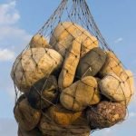 Scopri le geopatie nella tua casa con il Feng Shui.