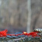 Feng Shui Carta Dei Desideri Utilizza il Feng Shui nella tua carta dei desideri per attirare prosperità e armonia