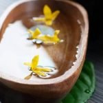 Feng Shui Per Attività Commerciali Scopri come applicare il Feng Shui per migliorare le tue attività commerciali