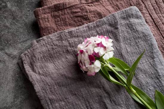 Feng Shui Per Attirare Amore 7 creare armonia nella casa e nel cuore