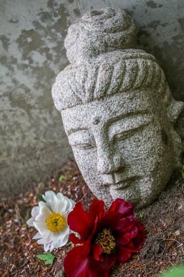 Feng Shui Mappa Dei Desideri 1 armonizza casa e cuore